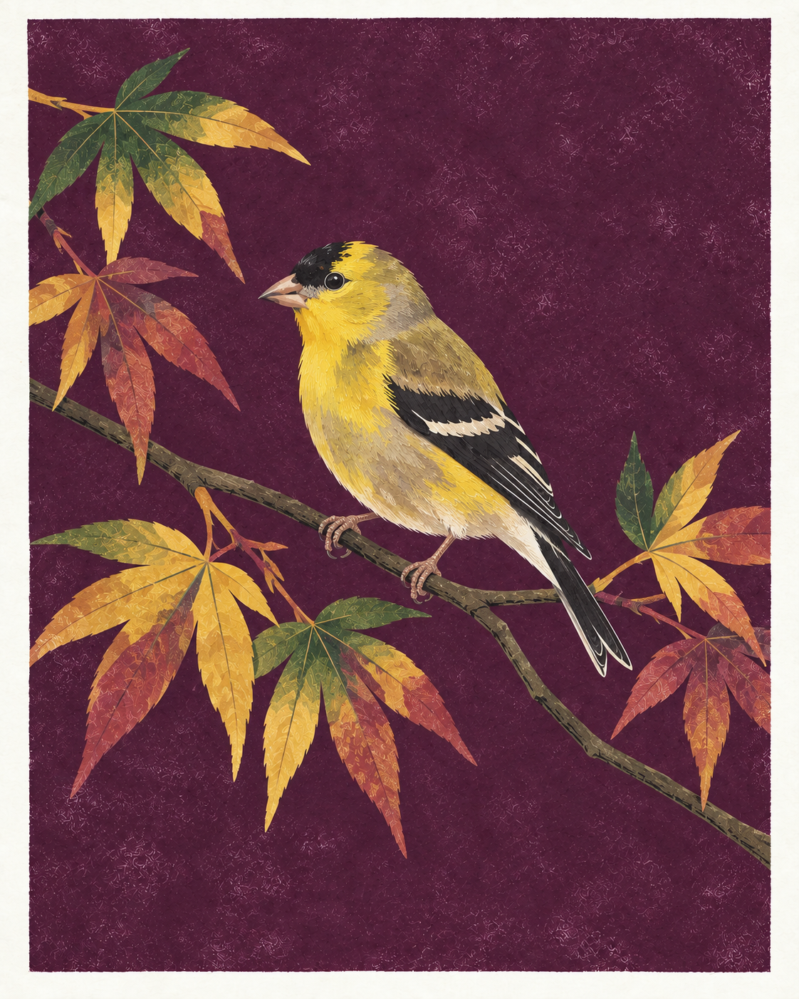 Illustrated American Goldfinch in quieter autumn plumage